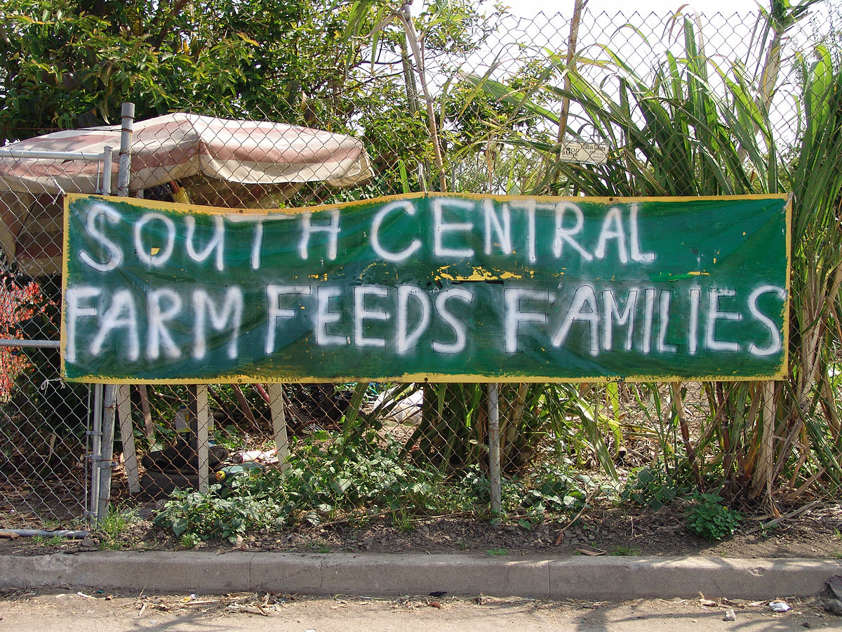 The South Central Farm Heads Back to Court!